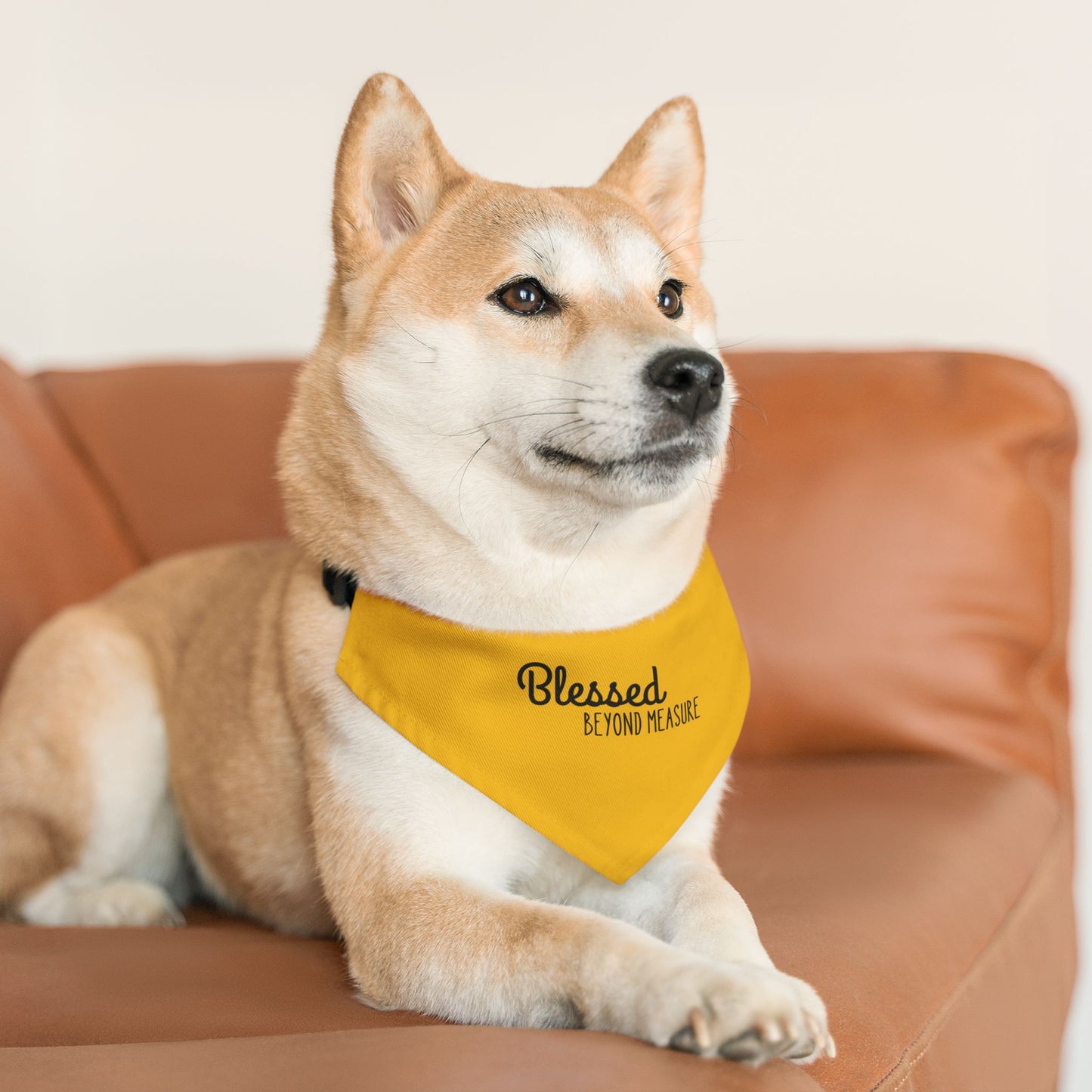 Blessed Beyond Measure Pet Bandana Collar