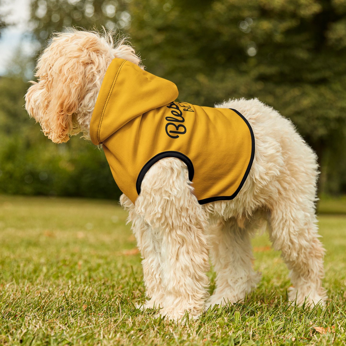 Blessed Beyond Measure Pet Hoodie