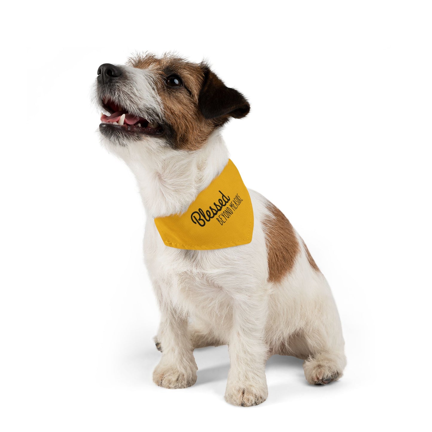 Blessed Beyond Measure Pet Bandana Collar
