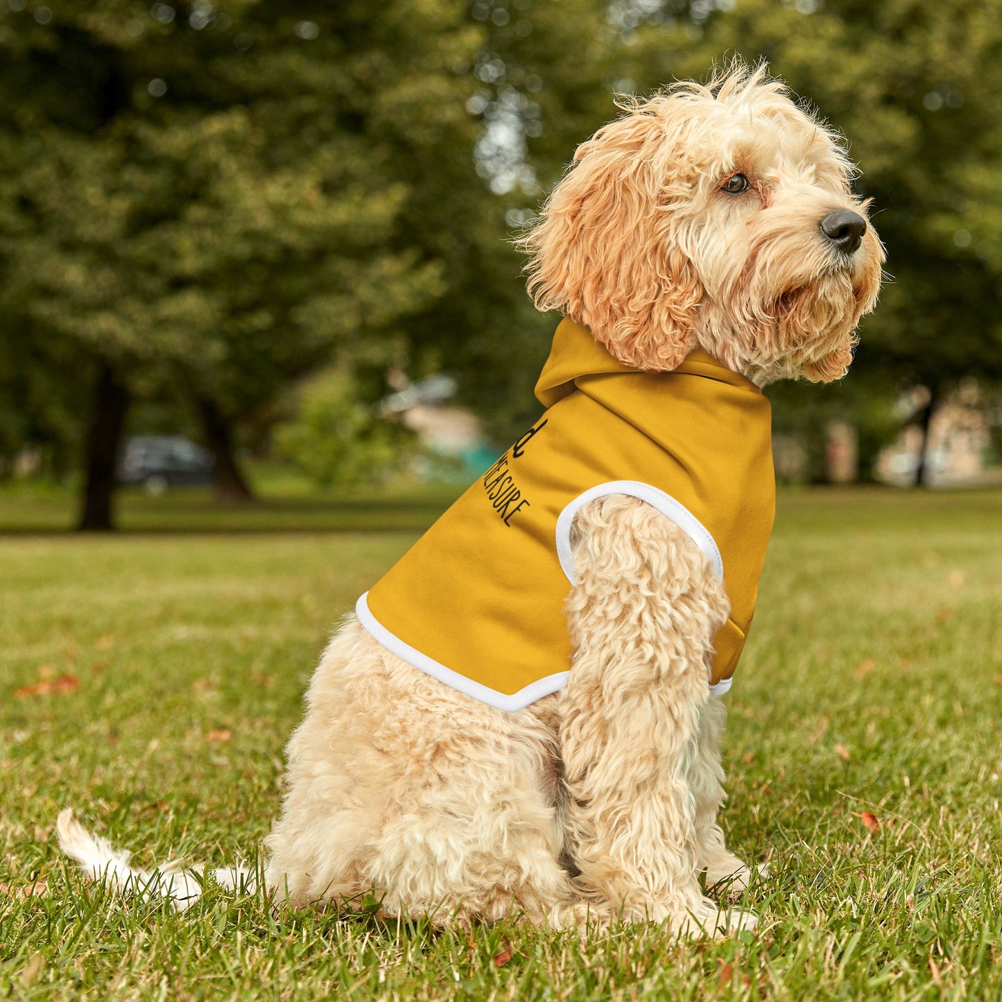 Blessed Beyond Measure Pet Hoodie