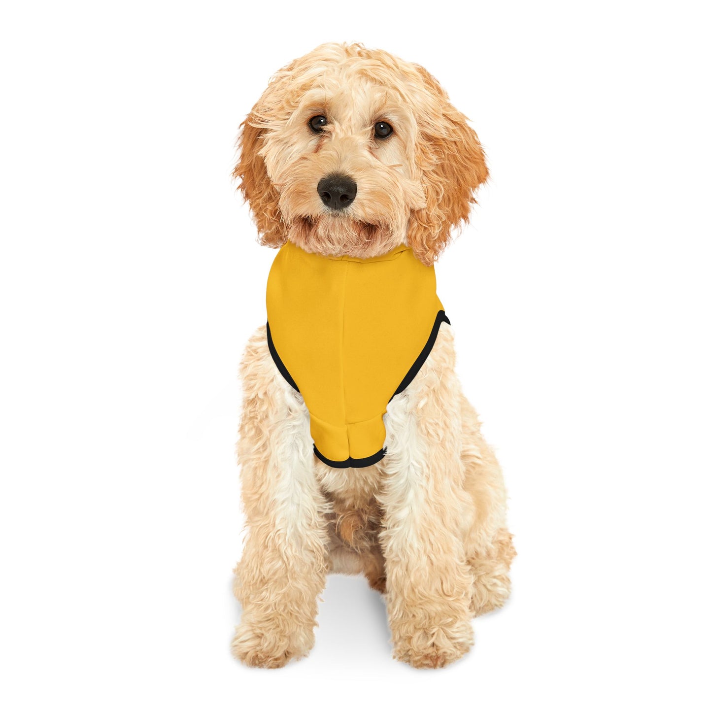 Blessed Beyond Measure Pet Hoodie