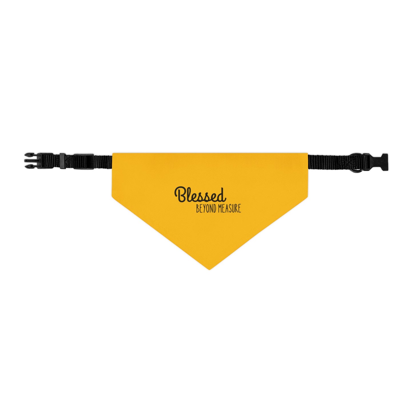 Blessed Beyond Measure Pet Bandana Collar