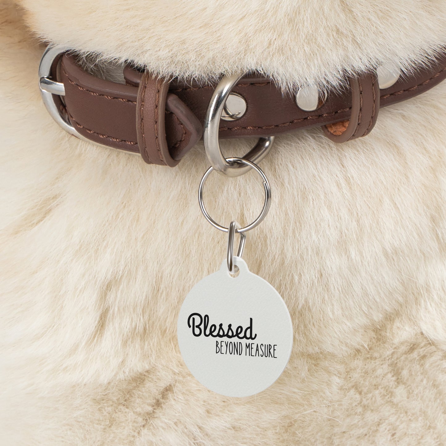 Blessed Beyond Measure Pet Tag