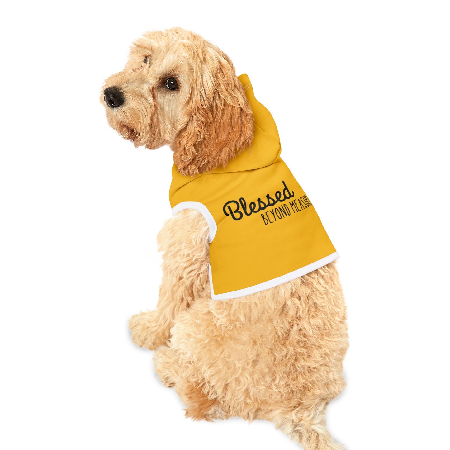 Blessed Beyond Measure Pet Hoodie