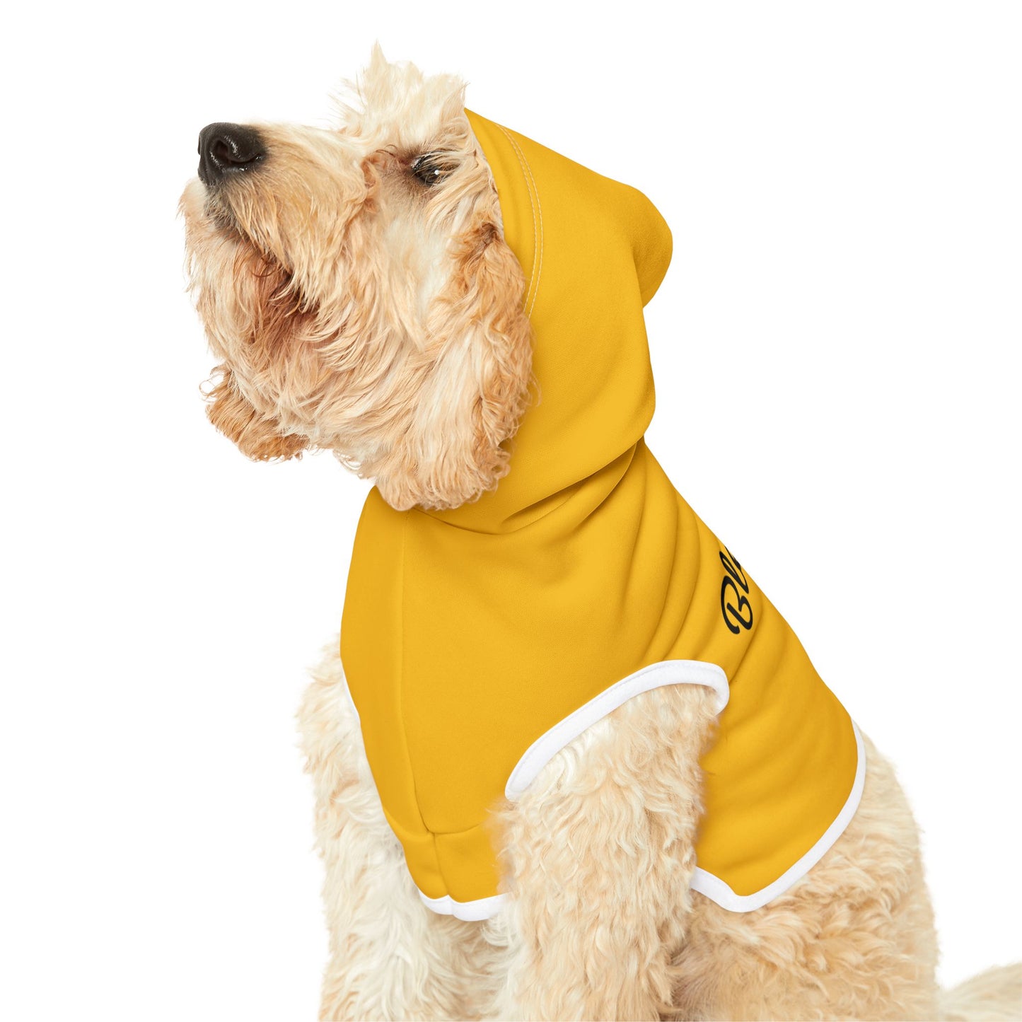 Blessed Beyond Measure Pet Hoodie