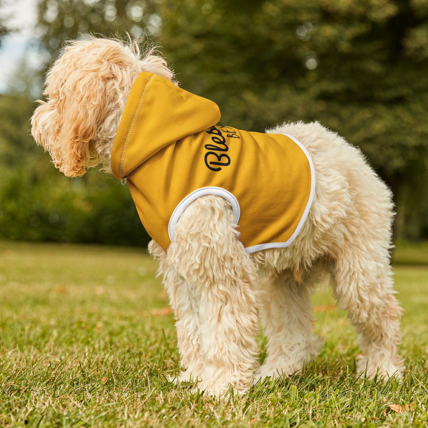 Blessed Beyond Measure Pet Hoodie