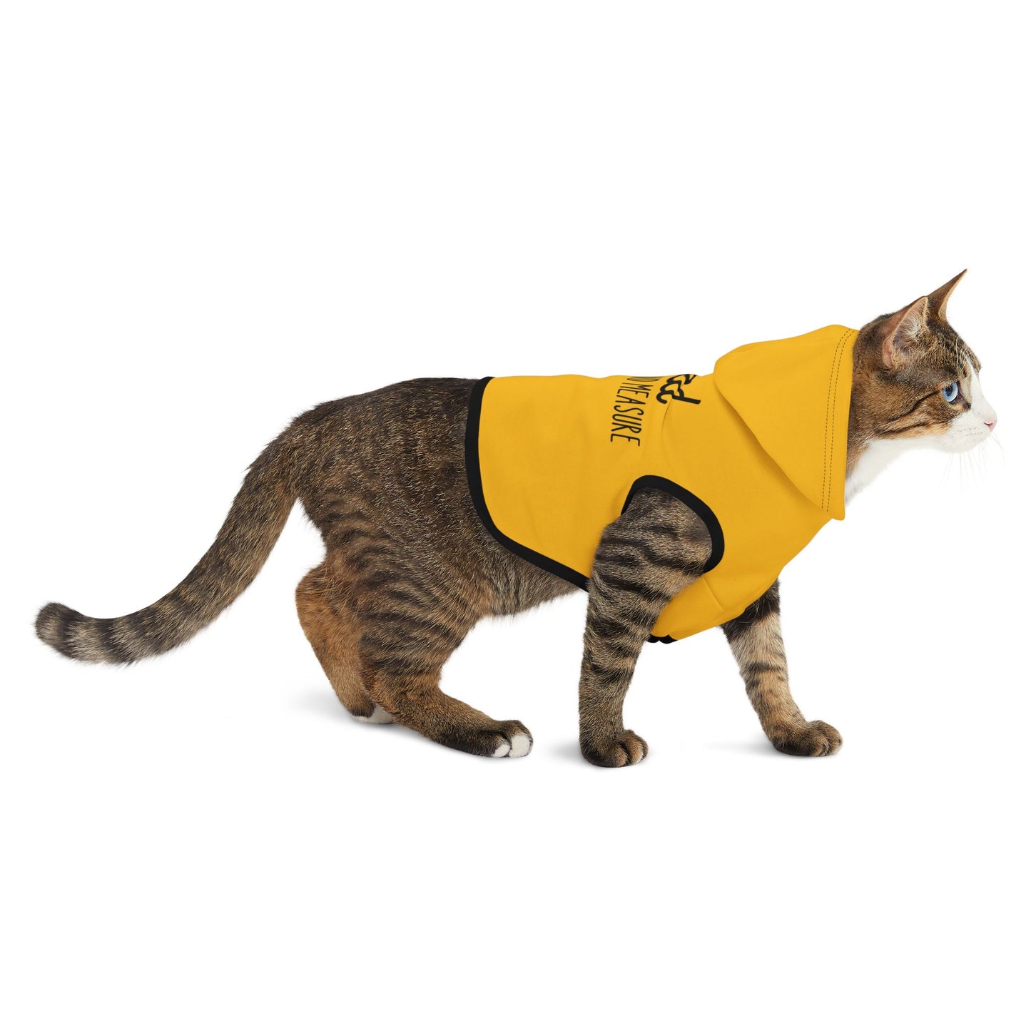 Blessed Beyond Measure Pet Hoodie