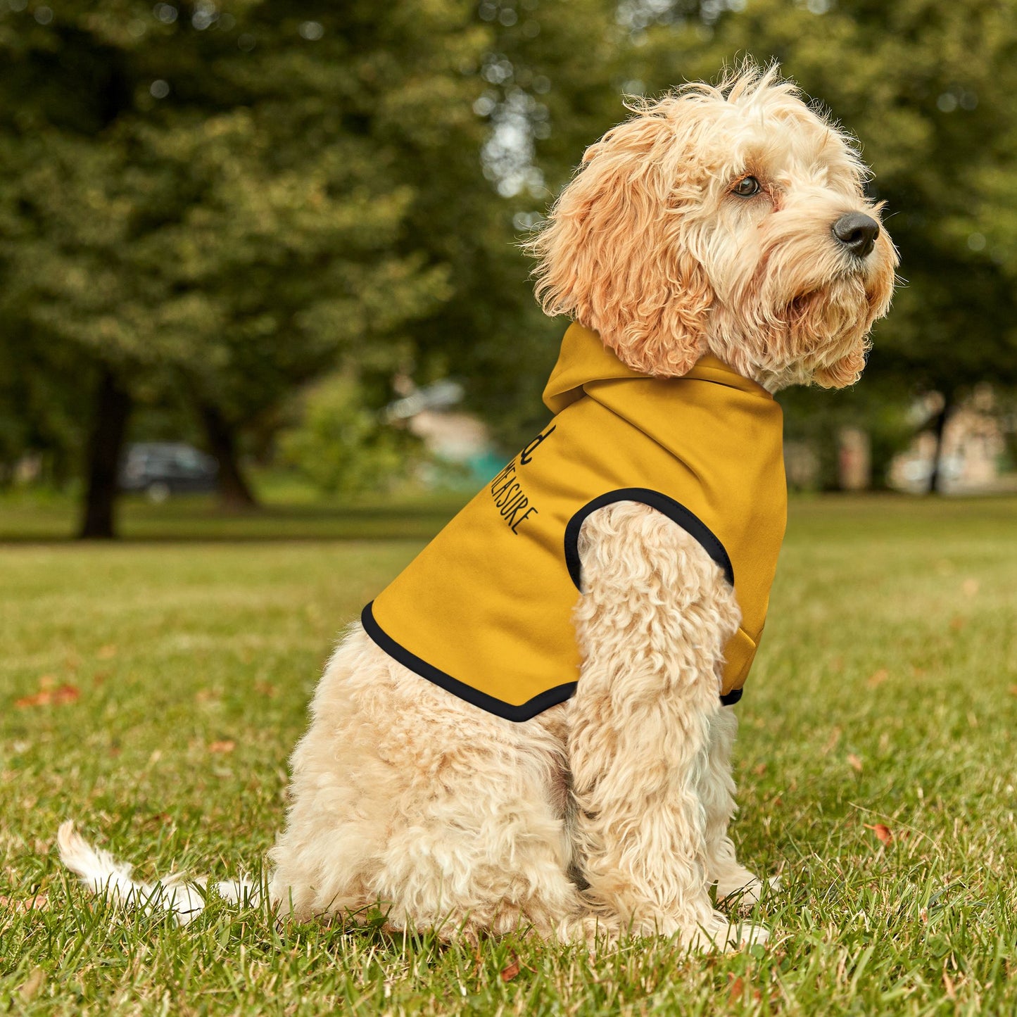 Blessed Beyond Measure Pet Hoodie