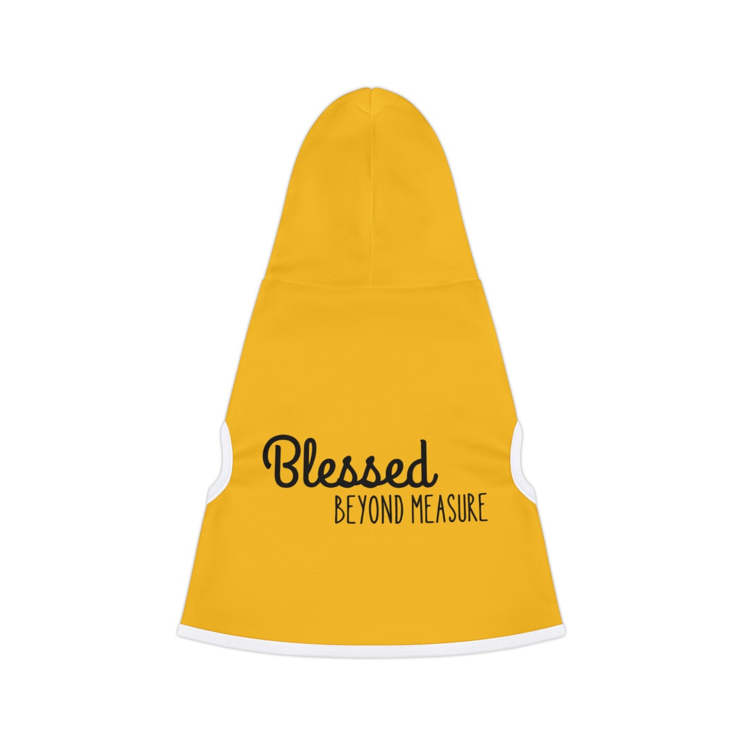 Blessed Beyond Measure Pet Hoodie