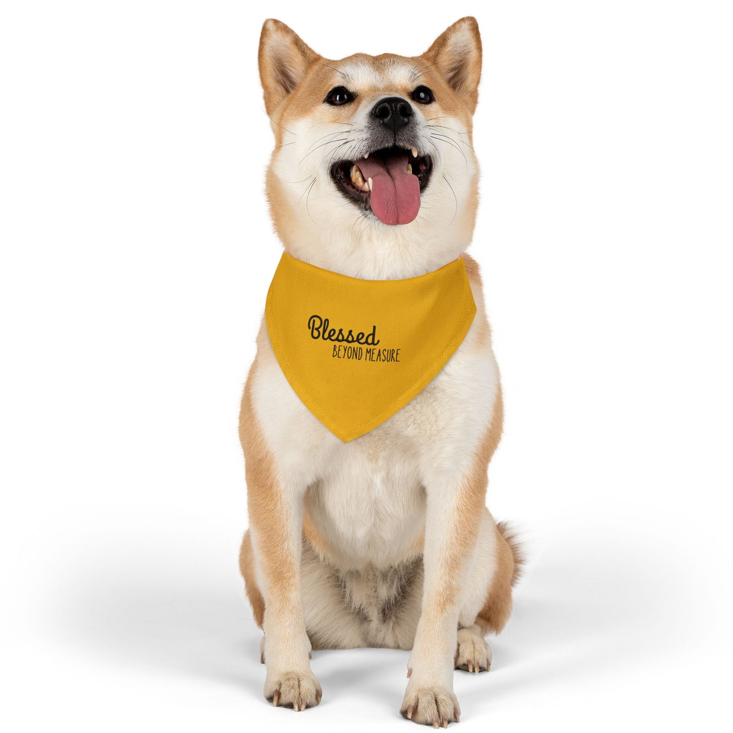 Blessed Beyond Measure Pet Bandana Collar