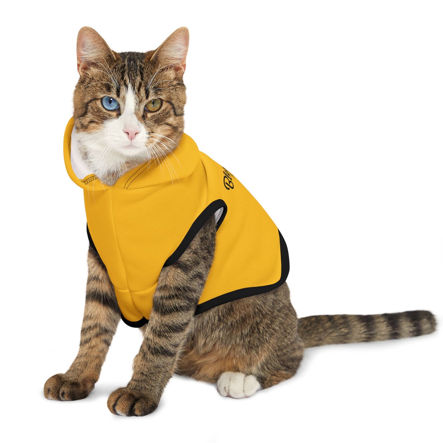 Blessed Beyond Measure Pet Hoodie