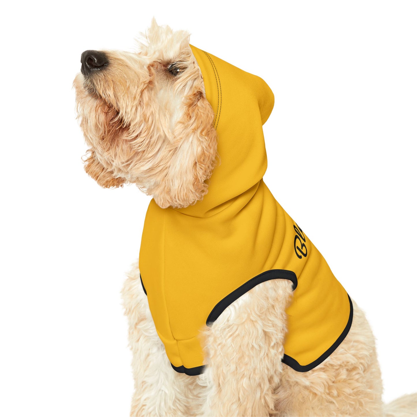 Blessed Beyond Measure Pet Hoodie