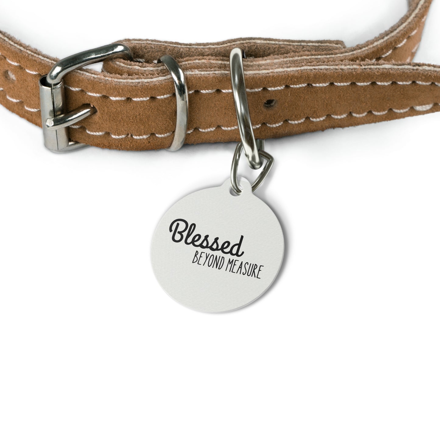 Blessed Beyond Measure Pet Tag