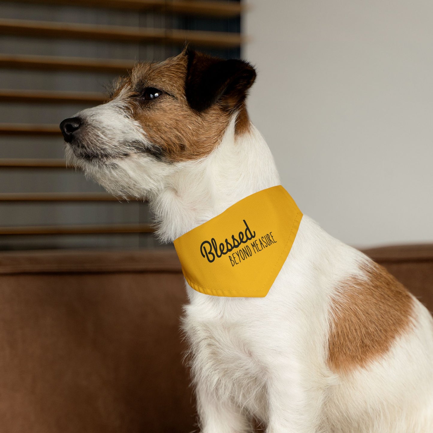 Blessed Beyond Measure Pet Bandana Collar