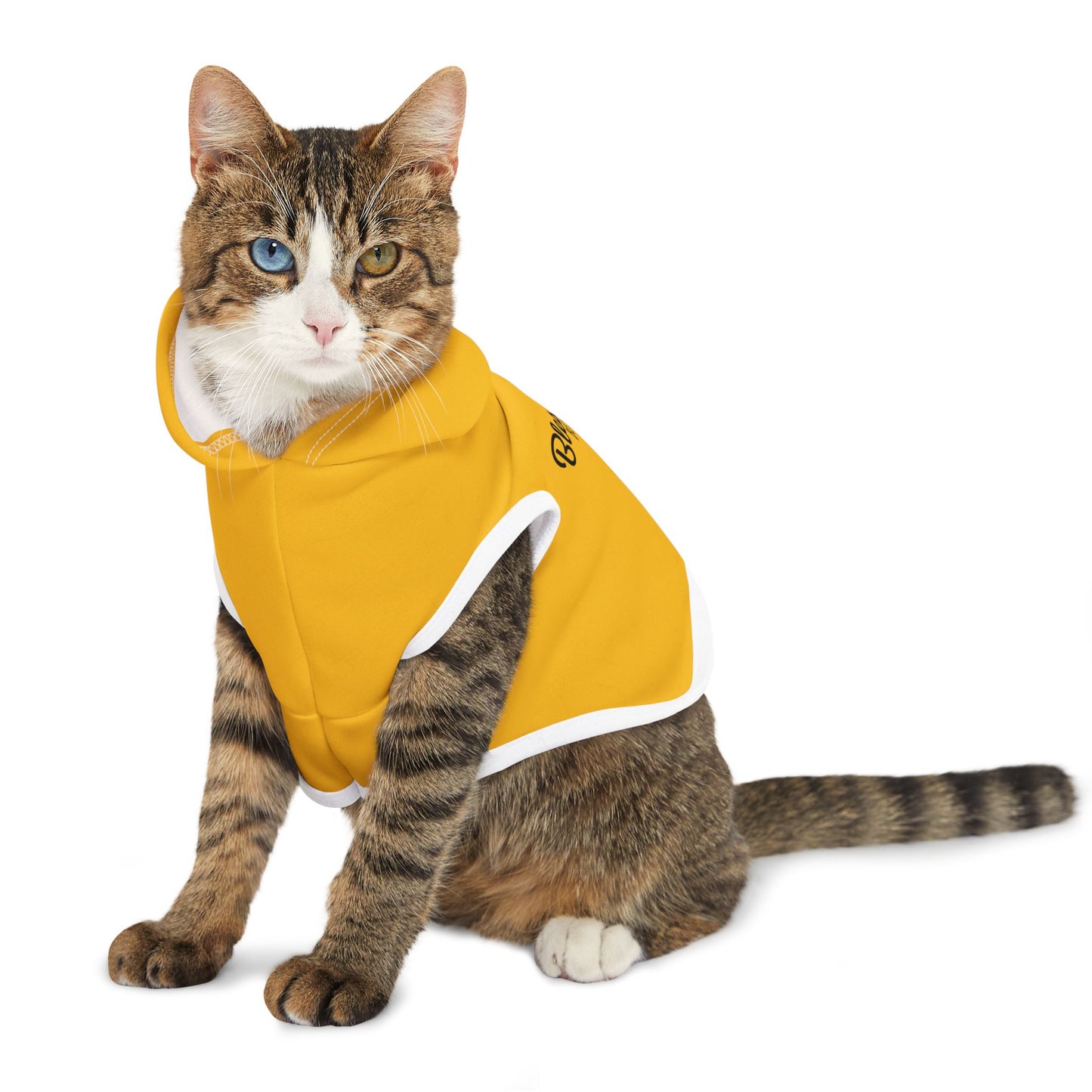 Blessed Beyond Measure Pet Hoodie