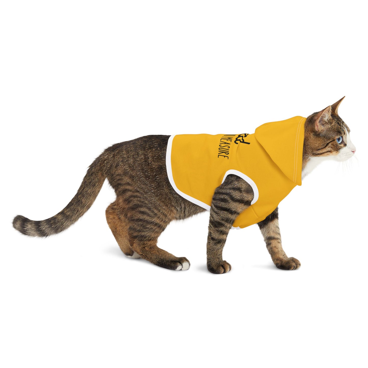 Blessed Beyond Measure Pet Hoodie