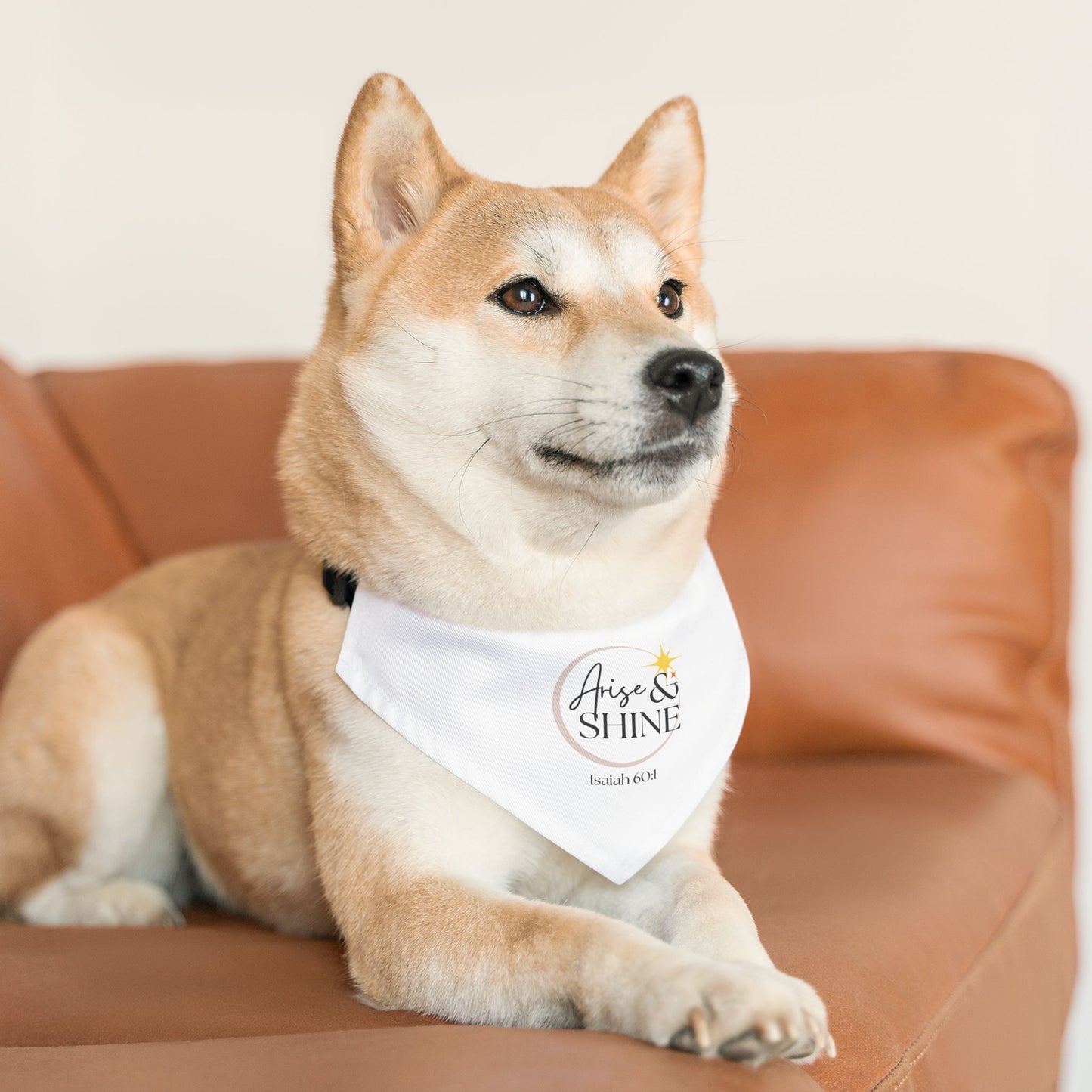 Arise & Shine Pet Bandana Collar