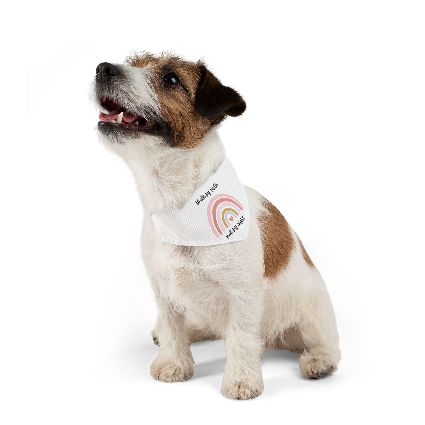 Walk By Faith Rainbow Pet Bandana Collar