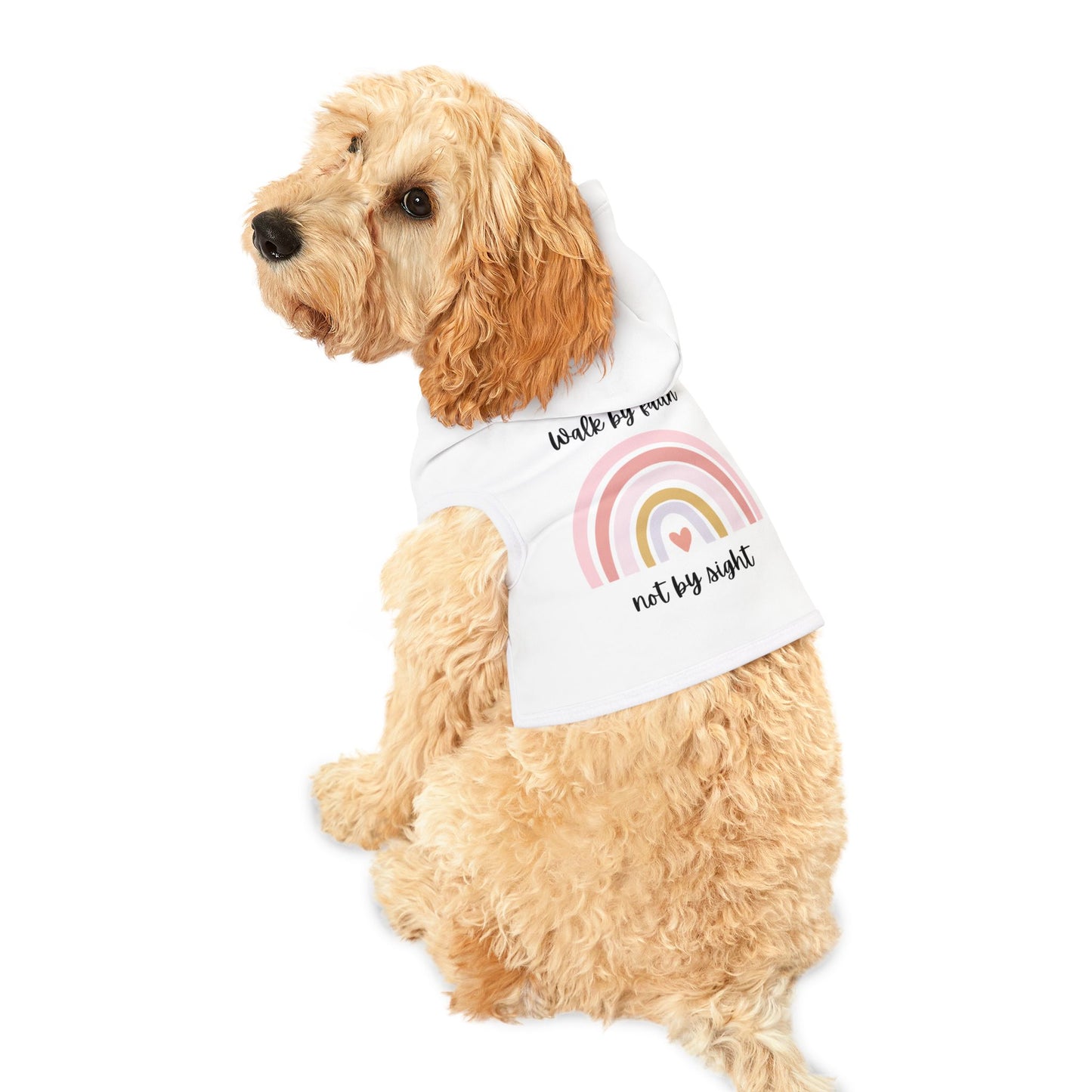 Walk By Faith Rainbow Pet Hoodie