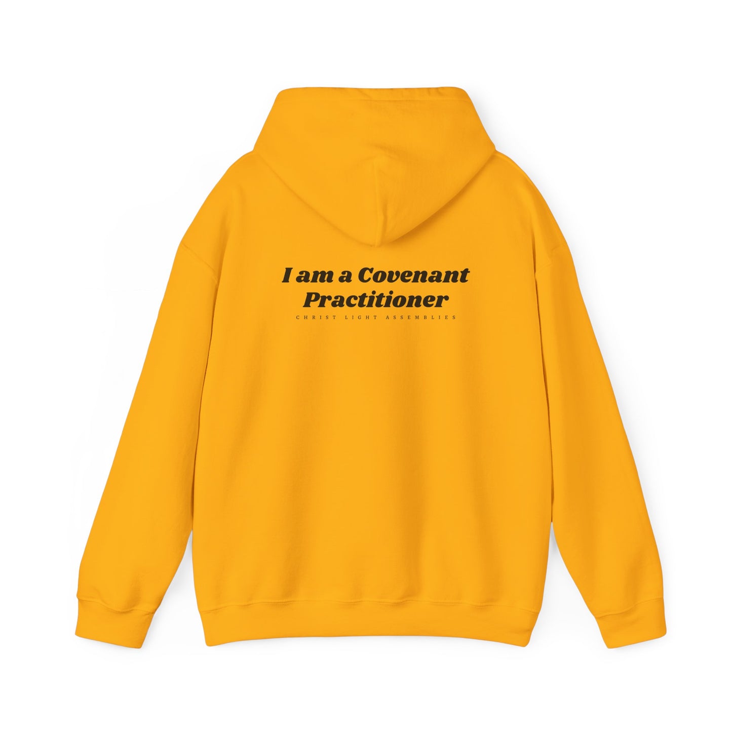 Covenant Practitioner CLA Unisex Hooded Sweatshirt