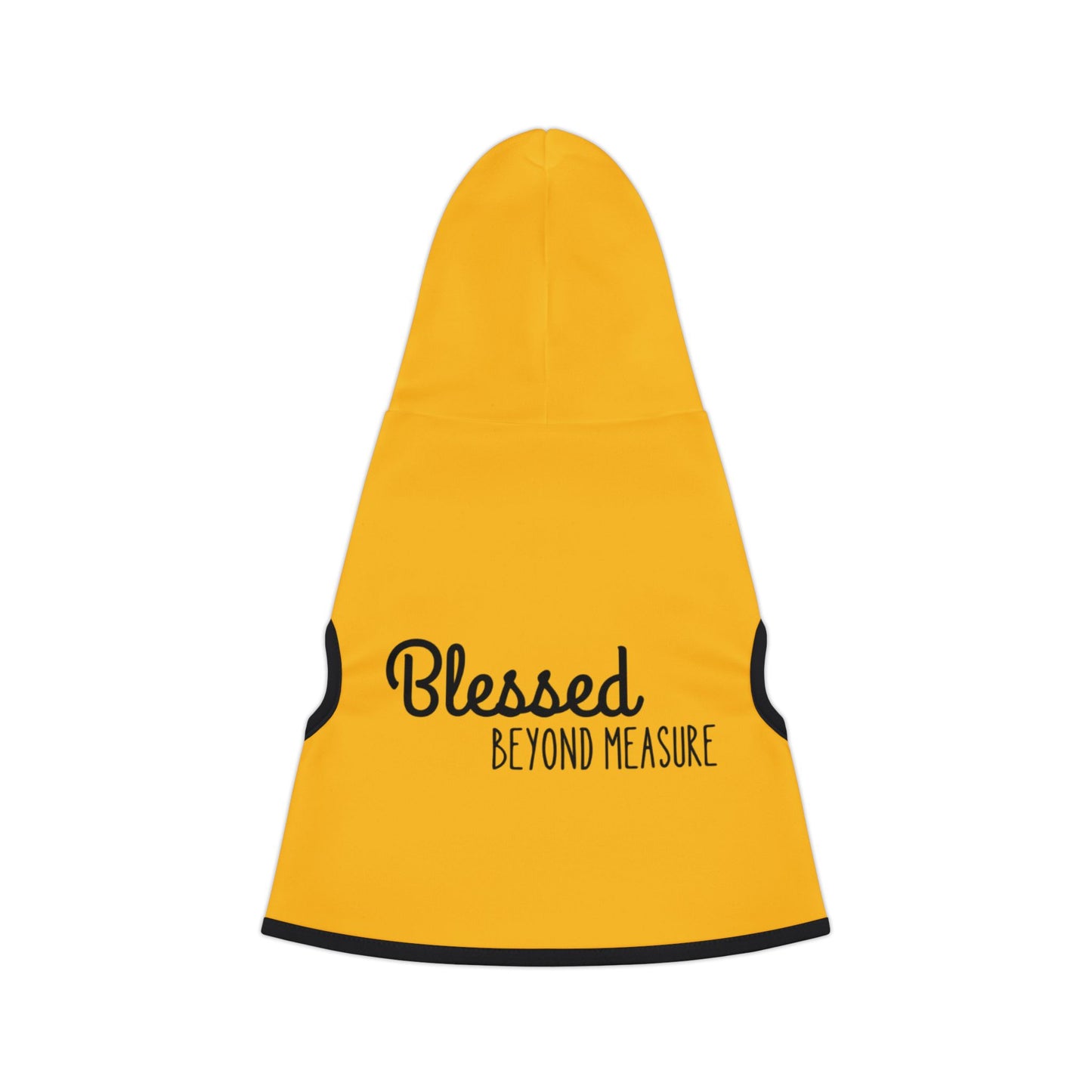 Blessed Beyond Measure Pet Hoodie