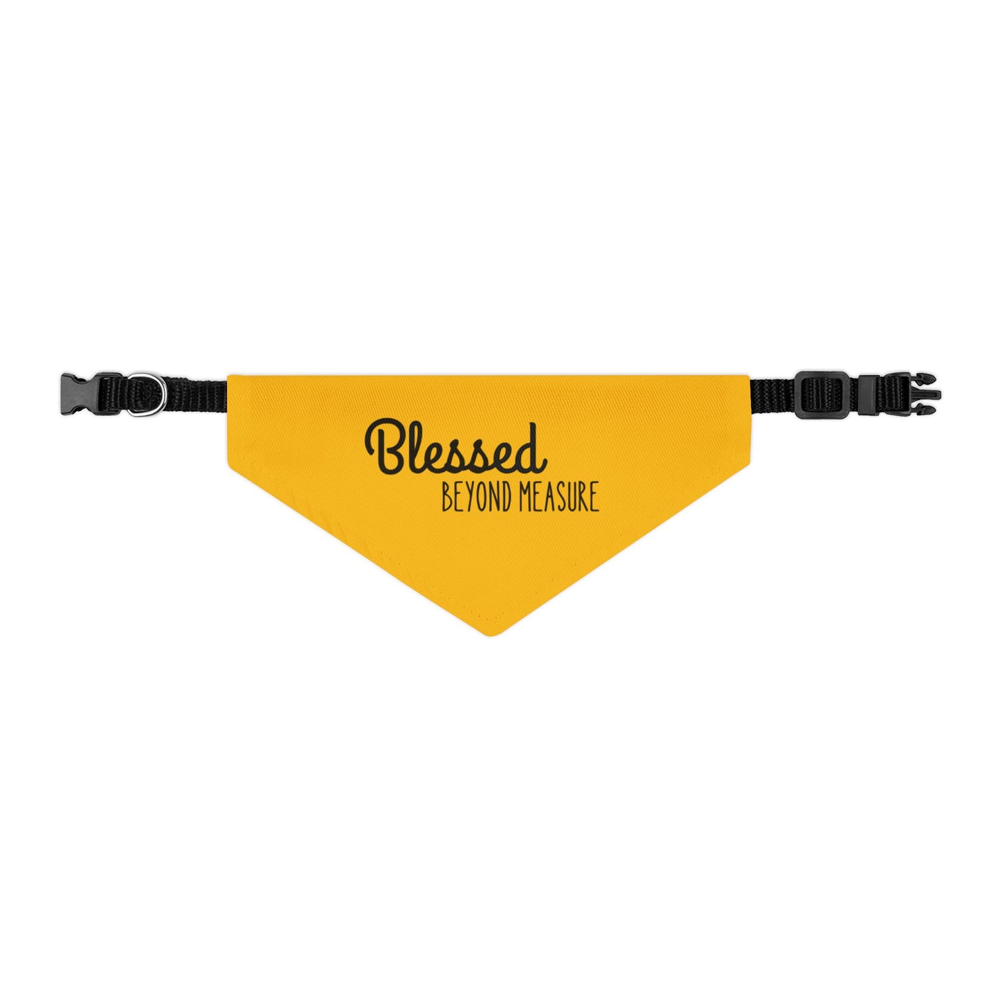 Blessed Beyond Measure Pet Bandana Collar