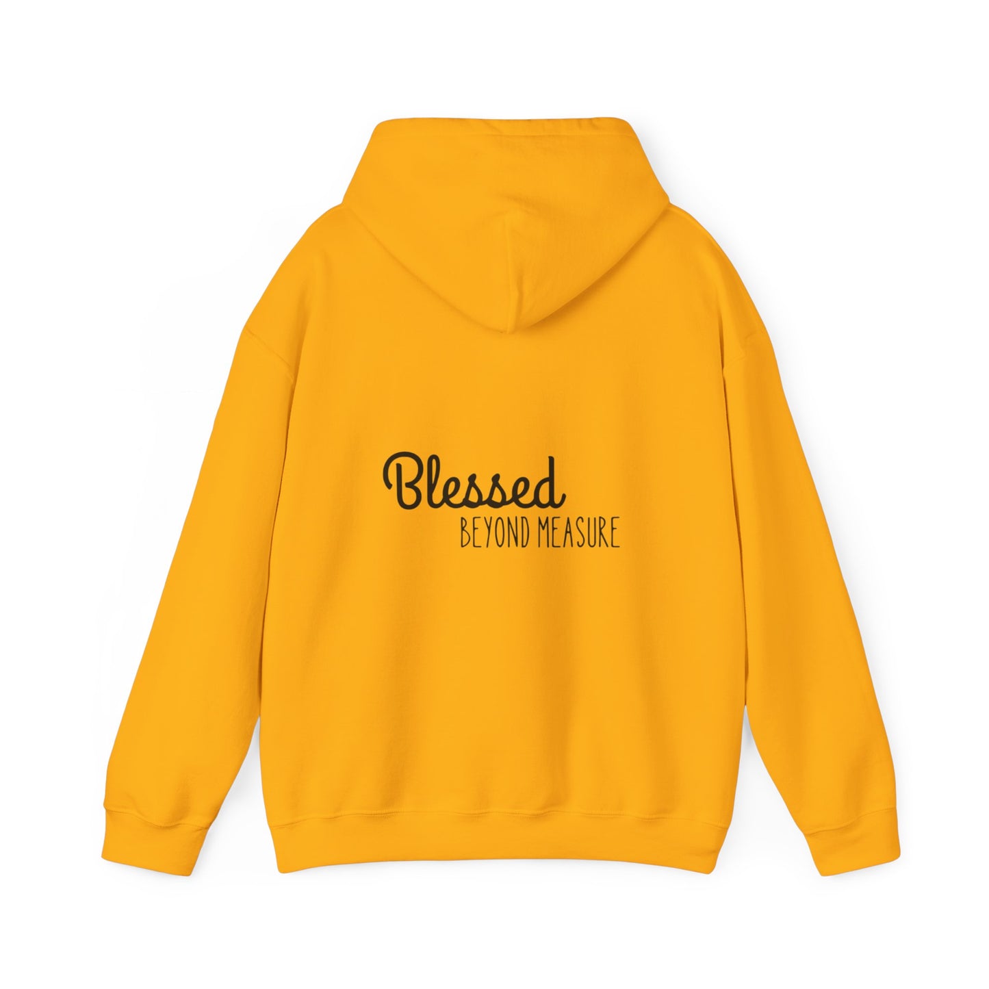 Blessed Beyond Measure Unisex Hooded Sweatshirt
