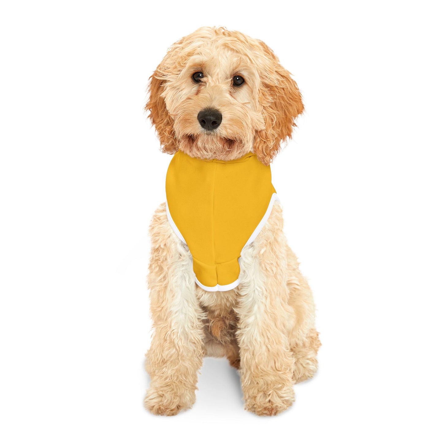 Blessed Beyond Measure Pet Hoodie