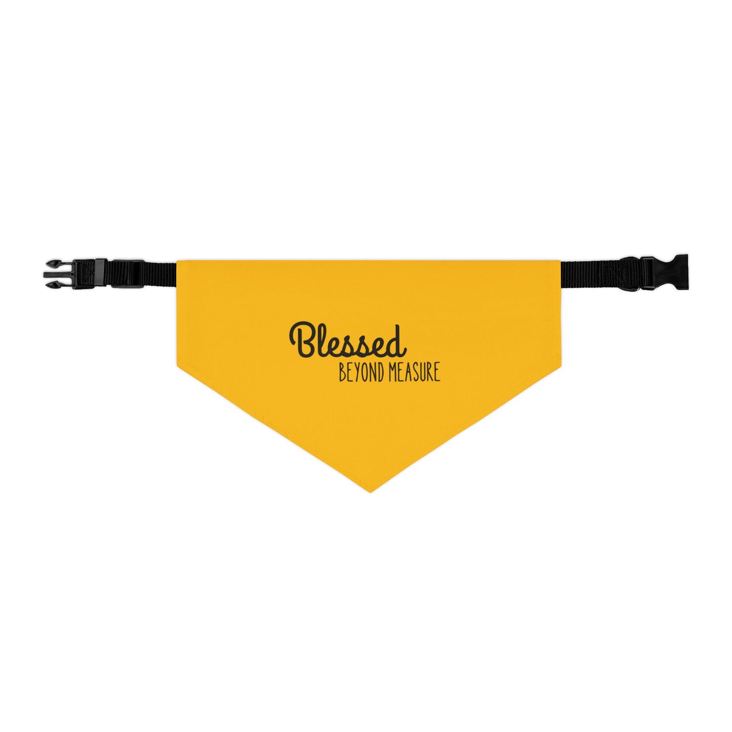 Blessed Beyond Measure Pet Bandana Collar