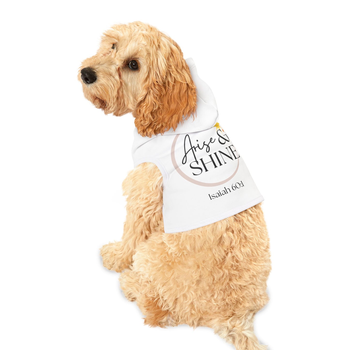 Arise & Shine Pet Hoodie