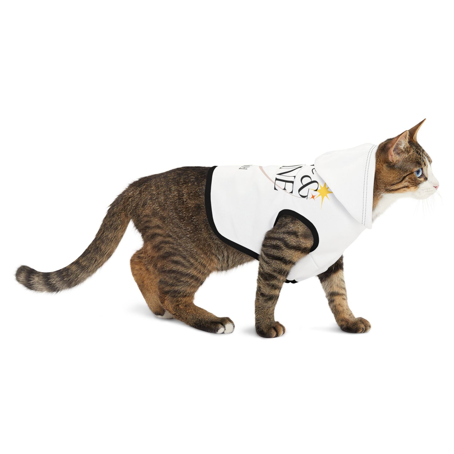 Arise & Shine Pet Hoodie