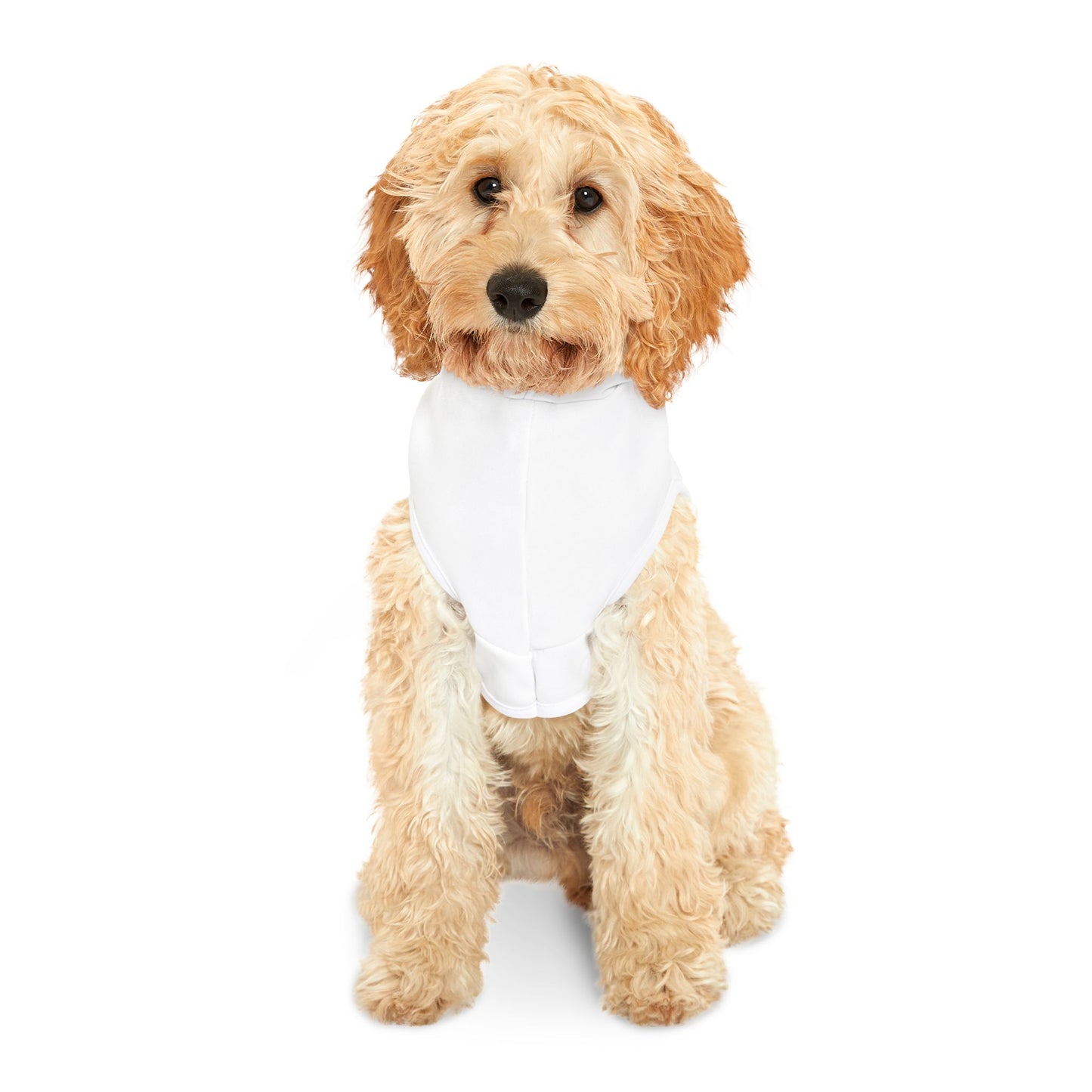 Arise & Shine Pet Hoodie