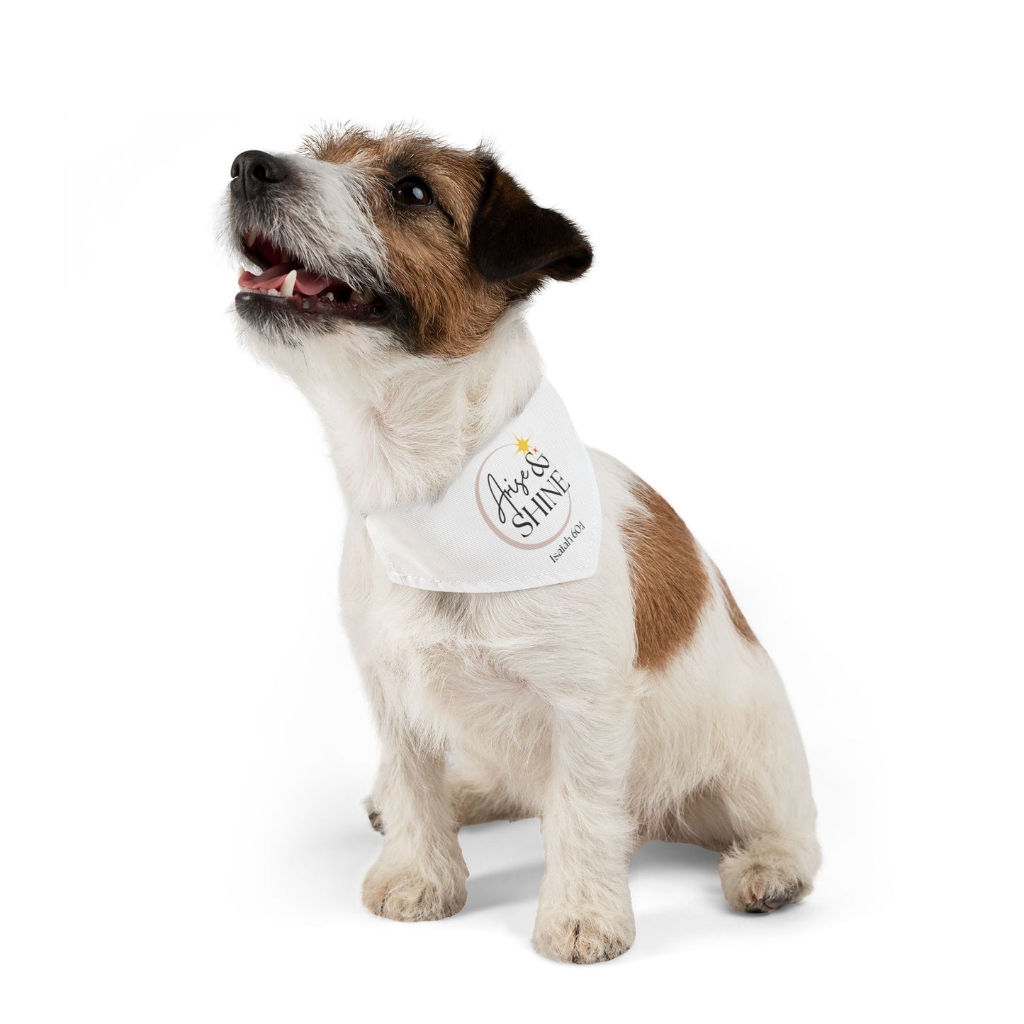 Arise & Shine Pet Bandana Collar