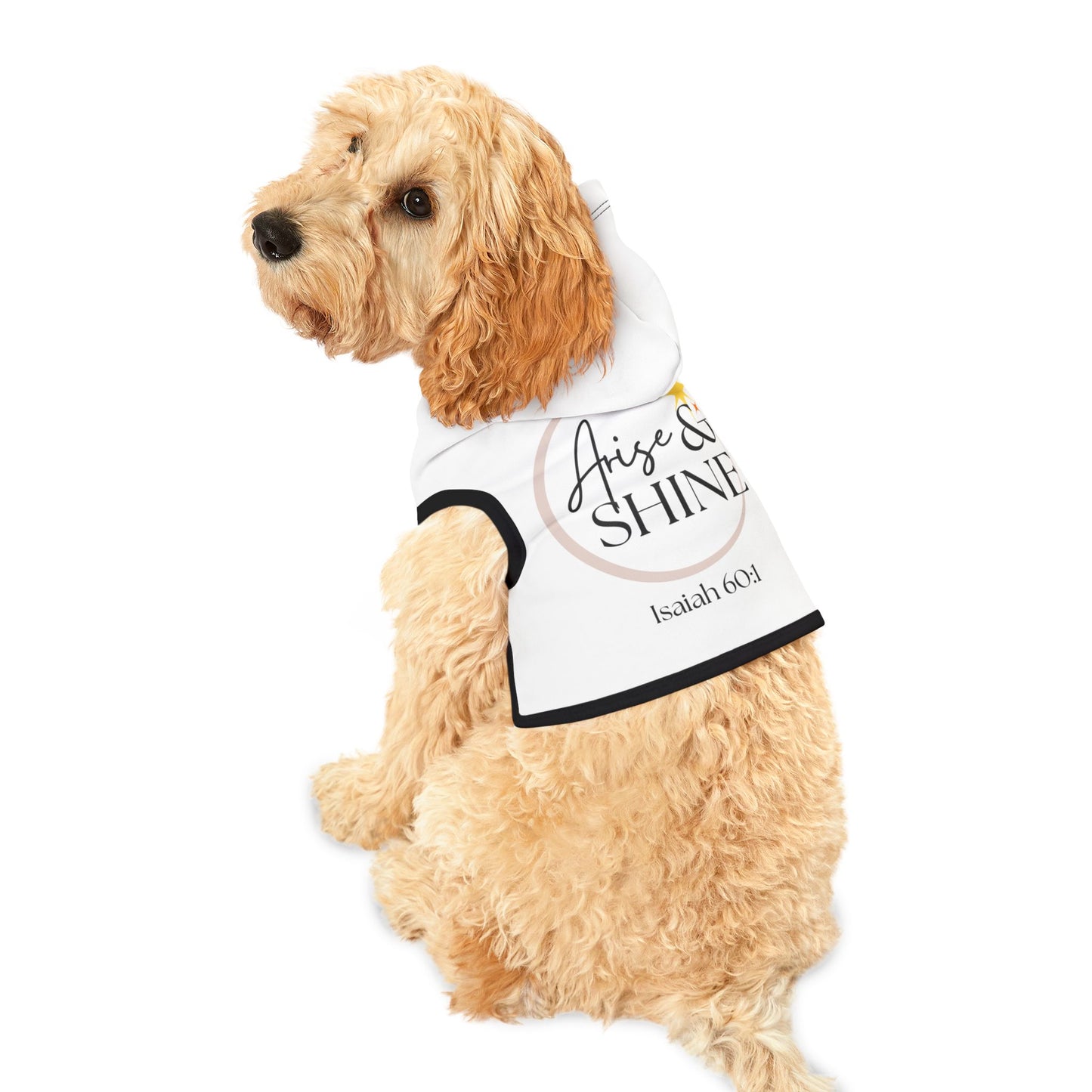 Arise & Shine Pet Hoodie