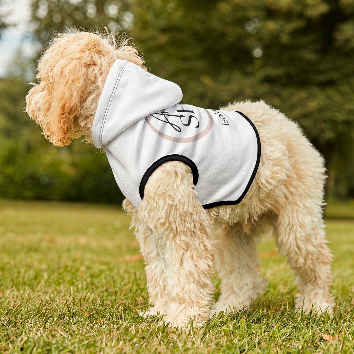 Arise & Shine Pet Hoodie