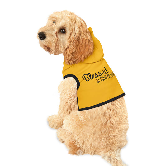 Blessed Beyond Measure Pet Hoodie