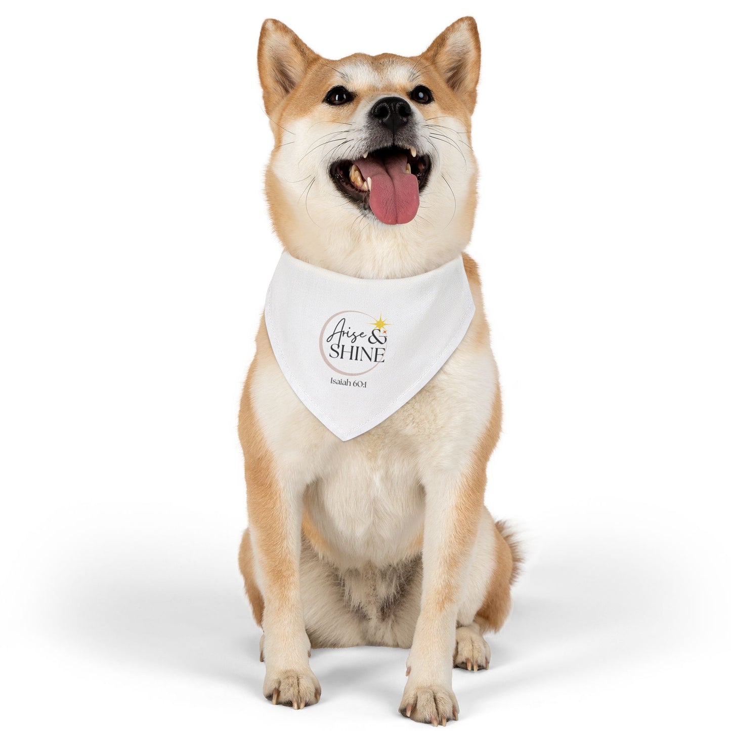 Arise & Shine Pet Bandana Collar