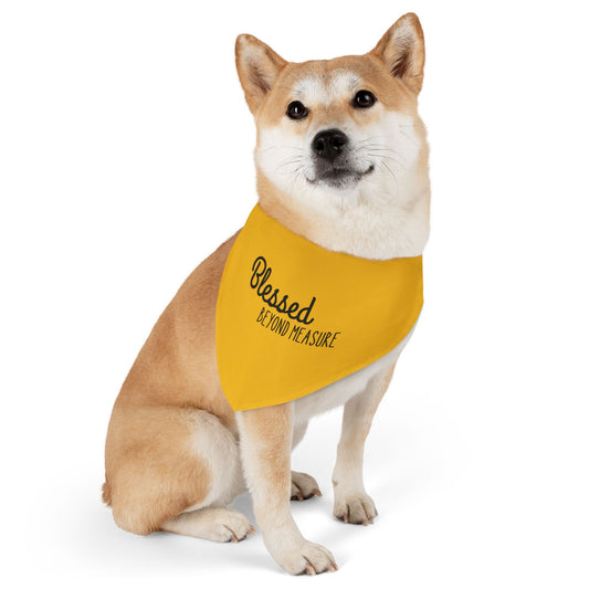 Blessed Beyond Measure Pet Bandana Collar