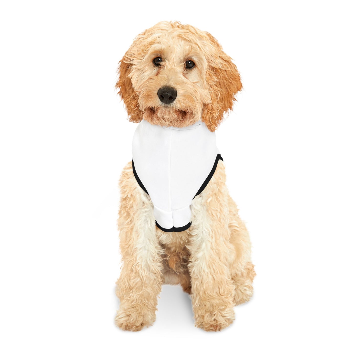 Arise & Shine Pet Hoodie