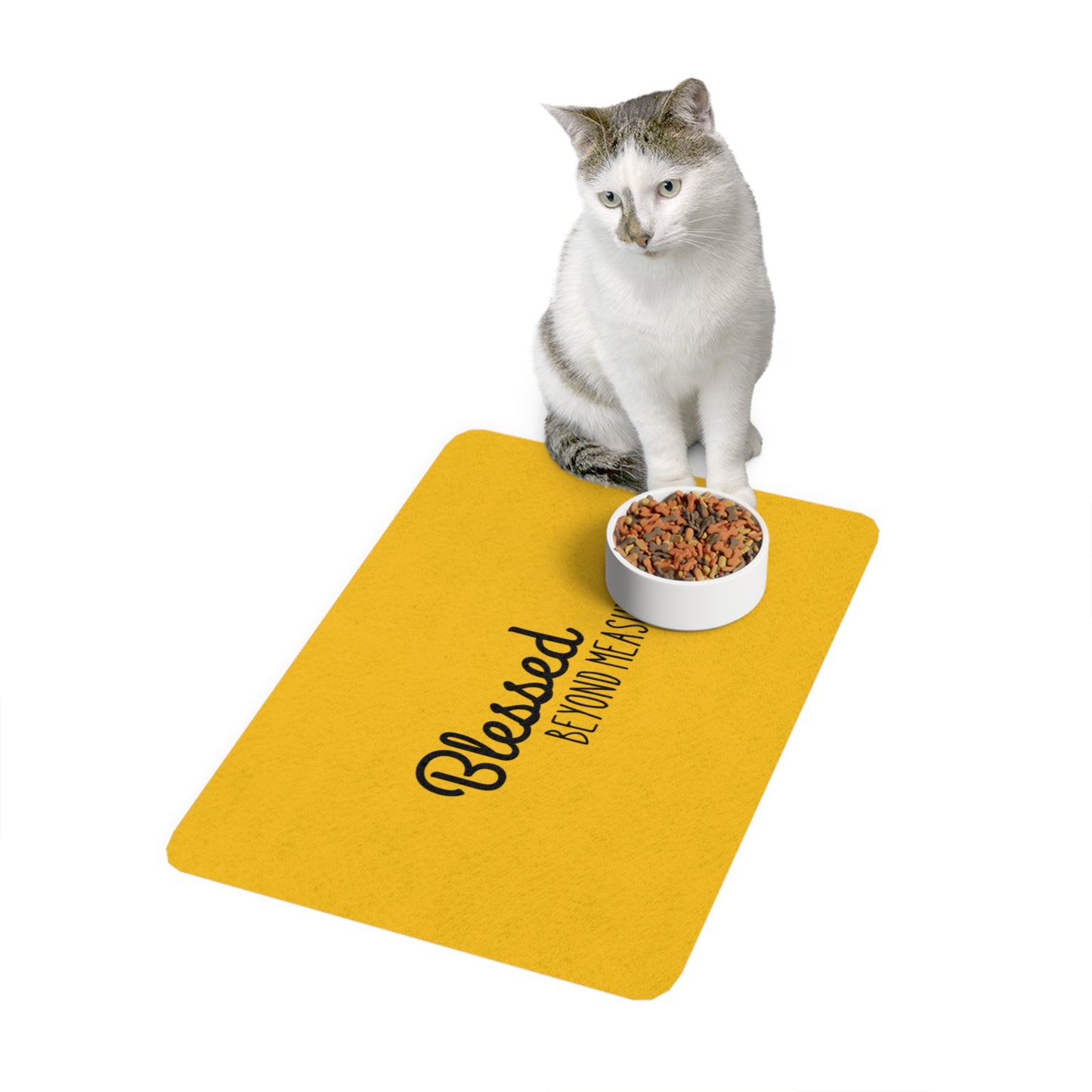 Blessed Beyond Measure Pet Food Mat