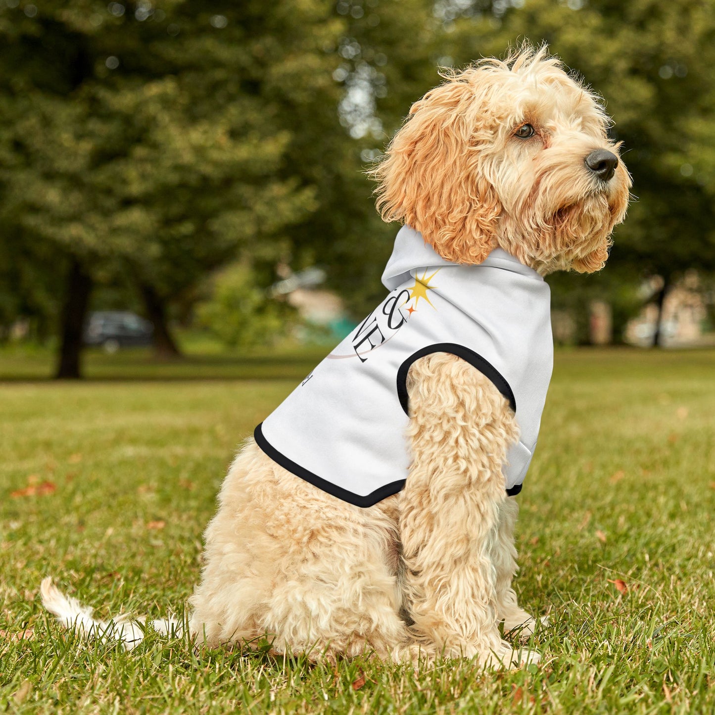 Arise & Shine Pet Hoodie