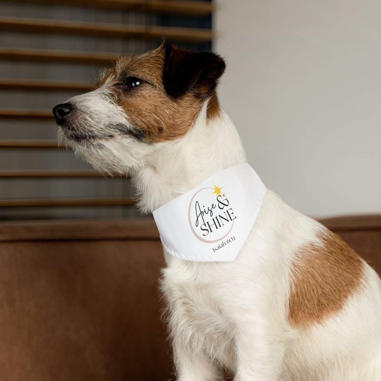 Arise & Shine Pet Bandana Collar