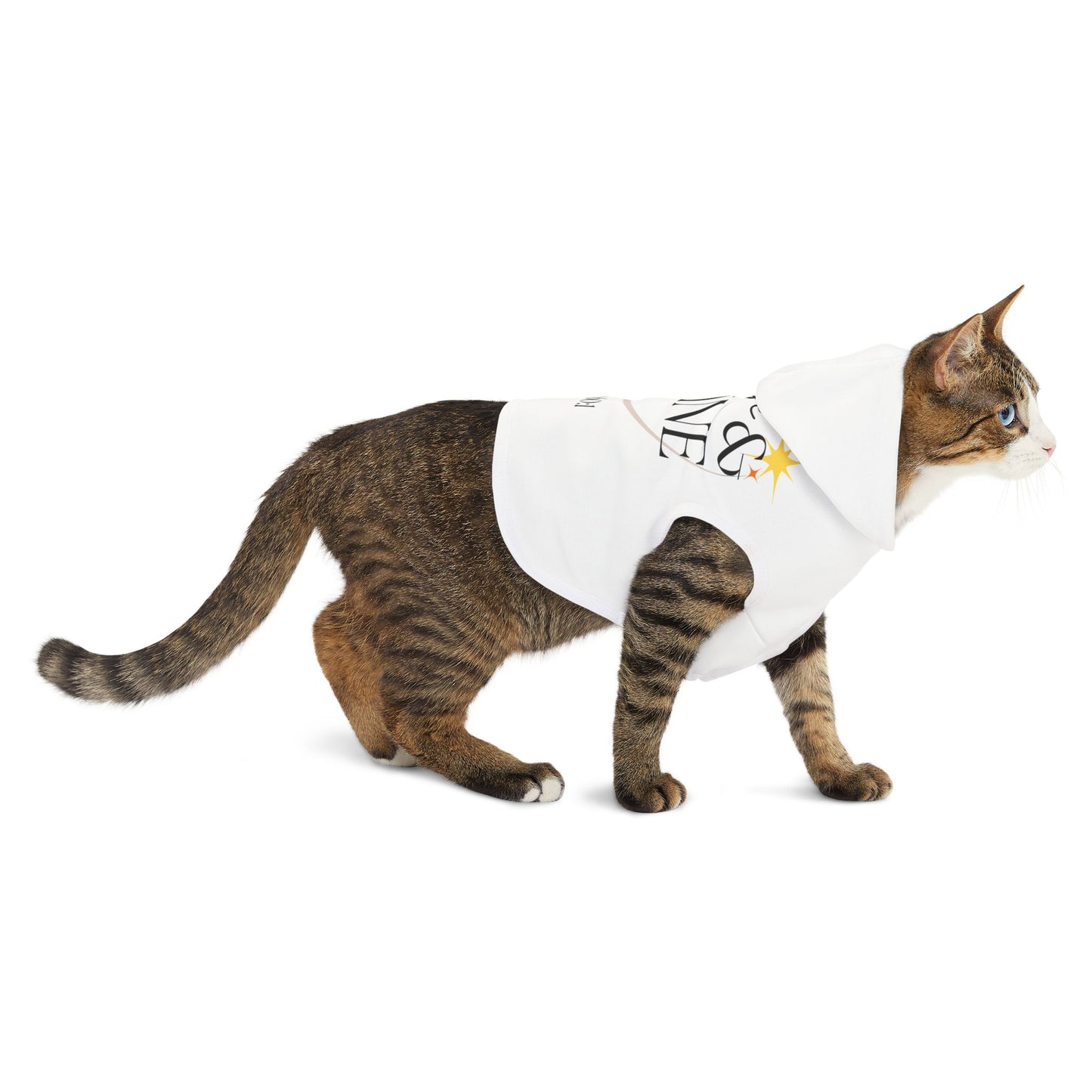 Arise & Shine Pet Hoodie
