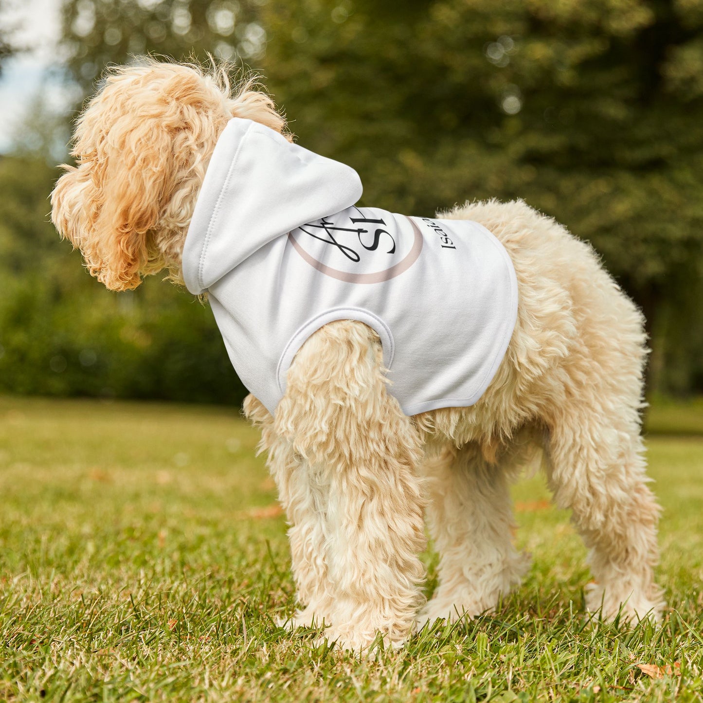 Arise & Shine Pet Hoodie