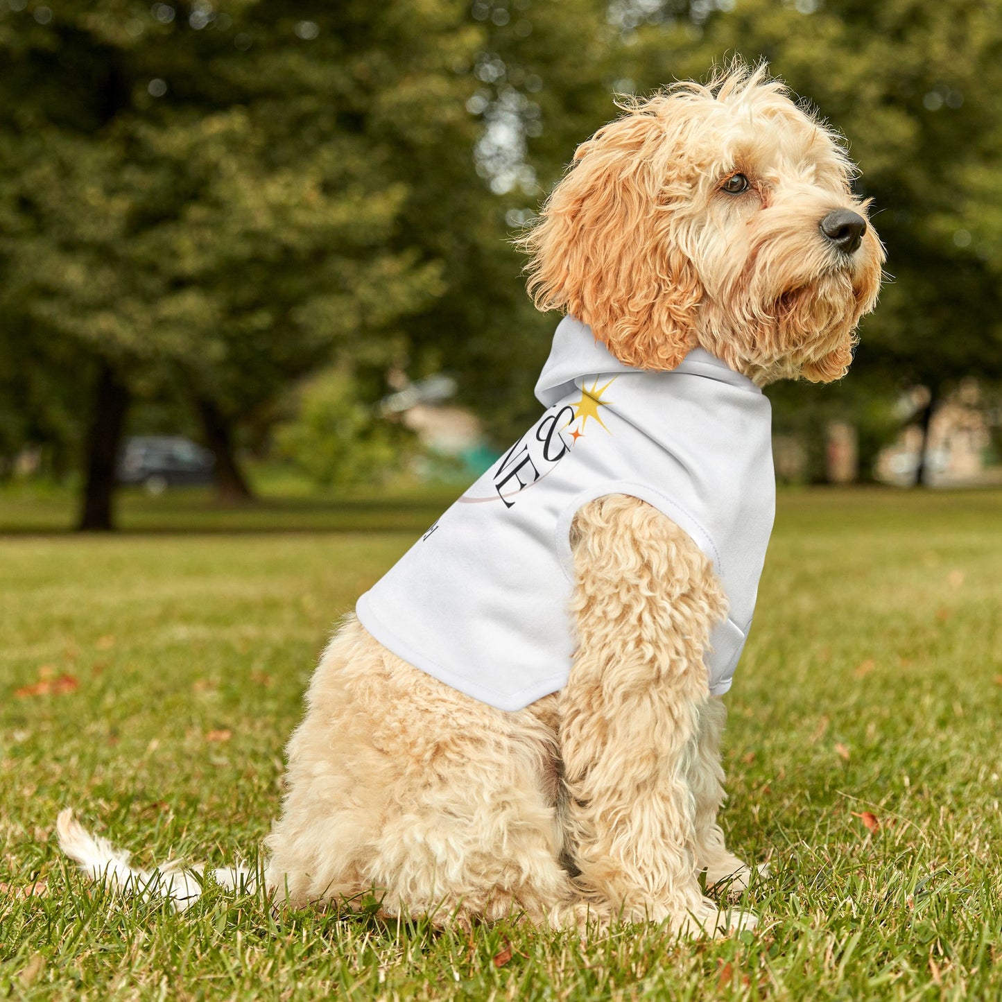 Arise & Shine Pet Hoodie